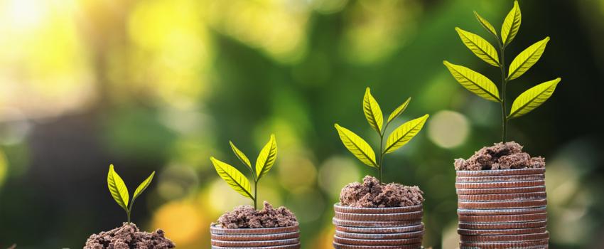 projet isolation avec pièces plantes